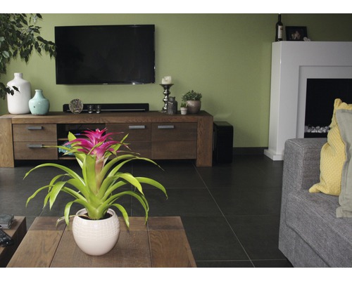 Salon avec télévision, commode, plante d''intérieur et cheminée