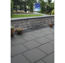 Jardin avec pavés et mur