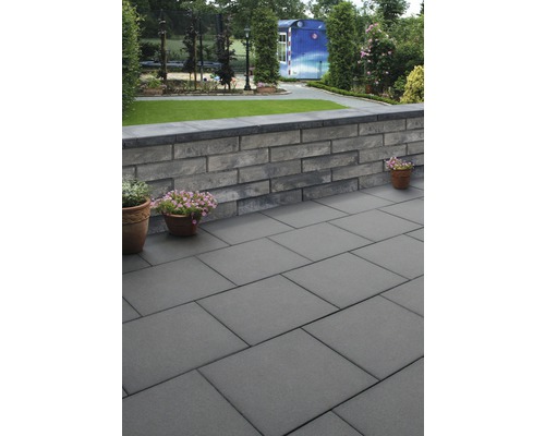Jardin avec pavés et mur