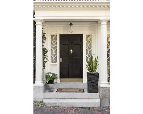 Espace d''entrée avec porte d''entrée, colonnes, plantes et paillasson