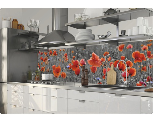 Scène de cuisine avec des armoires blanches et une crédence à motif de coquelicots