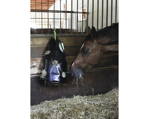 Cheval mangeant du foin dans un sac à foin dans une étable