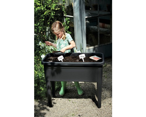 Une fille jardine dans un potager surélevé noir dans le jardin et plante du basilic et des carottes.