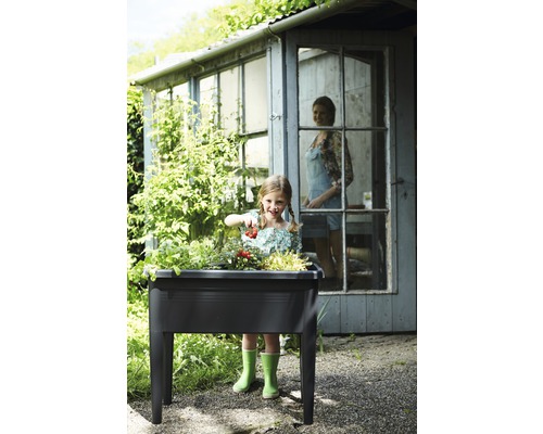 Une fille cueille des tomates dans un potager surélevé devant une cabane de jardin.