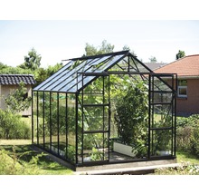 Gewächshaus mit Pflanzen im Garten