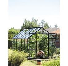 Gewächshaus mit Pflanzen und einer Person im Garten.