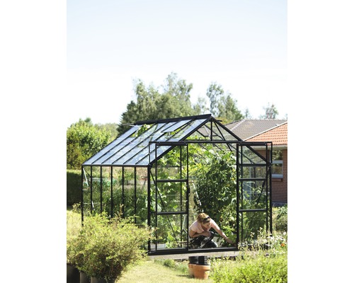 Serre avec plantes et une personne dans le jardin.
