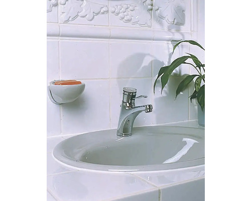 Salle de bain avec lavabo, robinet, porte-savon, savon, carreaux et plante