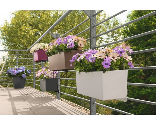 Plusieurs jardinières de différentes couleurs, plantées, sur le balcon