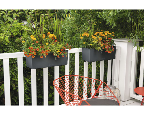 Scène de balcon avec deux jardinières sur une balustrade blanche et une chaise rouge