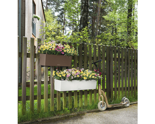 Deux jardinières avec des fleurs colorées sont accrochées à une clôture en bois à côté d''une trottinette.