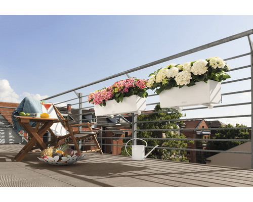 Scène de balcon avec table, chaise, boisson, coupe de fruits, arrosoir et jardinières de balcon avec plantes