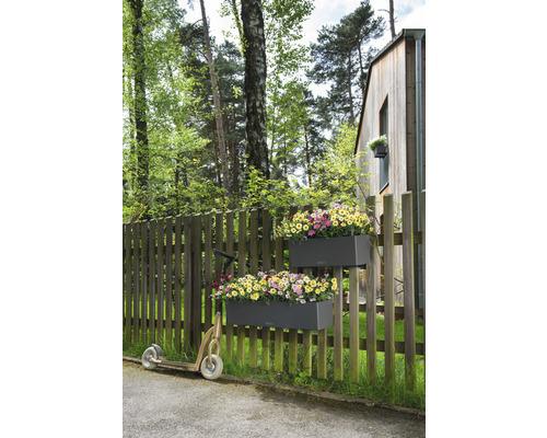 Scène avec des jardinières sur la clôture et une trottinette dans le jardin