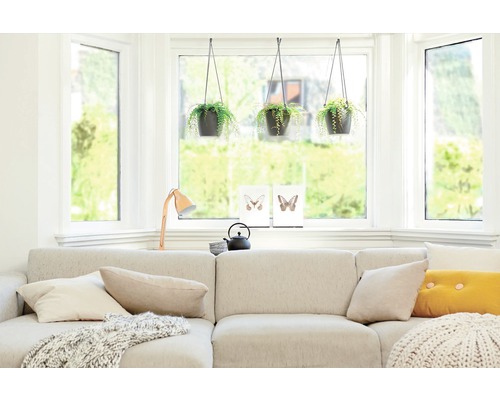 Salon lumineux avec canapé d''angle, fenêtres et plantes d''intérieur suspendues