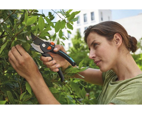 Femme coupe des plantes avec un sécateur