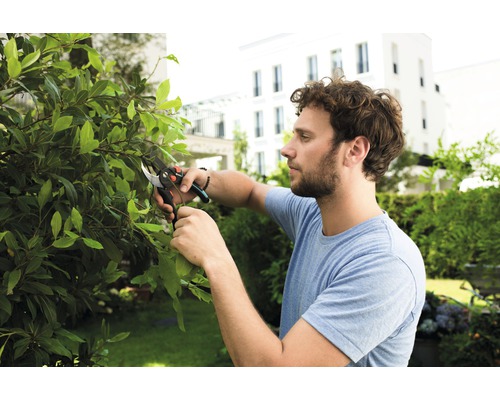 Un homme taille une haie dans le jardin avec un sécateur.