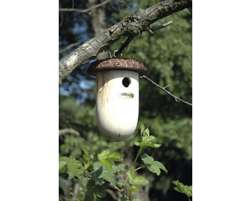 Nichoir en forme de gland suspendu à un arbre
