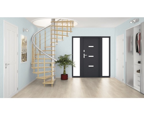 Hall d''entrée avec escalier en colimaçon, porte d''entrée et vestiaire.