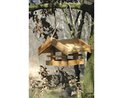 Holz Vogelhaus hängend an einem Baum