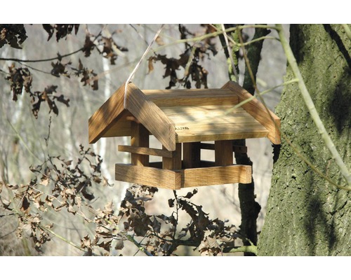 Holzvogelhaus hängend an einem Baum