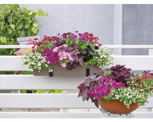 Balcon avec jardinière et pot de fleurs, plantés de différentes fleurs d''été