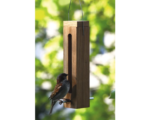 Mangeoire en bois avec moineau