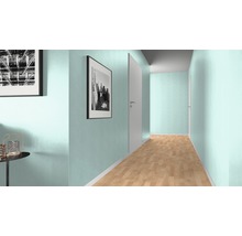 Couloir avec plancher en bois, peinture murale et portes intérieures