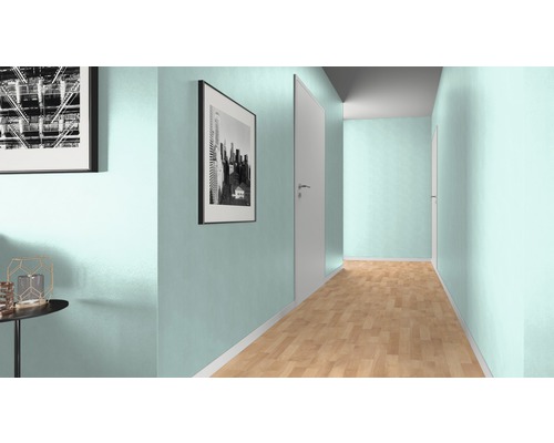 Couloir avec plancher en bois, peinture murale et portes intérieures