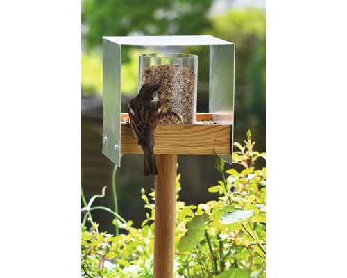 Maison pour oiseaux avec nourriture et un moineau