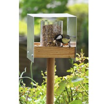 Vogel an Vogelhaus aus Holz, Edelstahl und Acrylglas mit Futtersamen