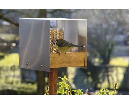 Mangeoire à oiseaux en acier inoxydable avec nourriture et mésange bleue