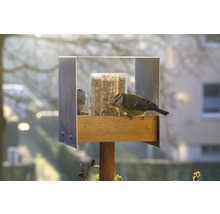 Vogelfutterhaus mit zwei Blaumeisen