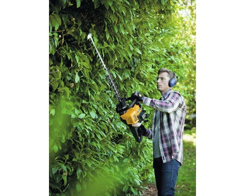 Homme taillant une haie avec un taille-haie