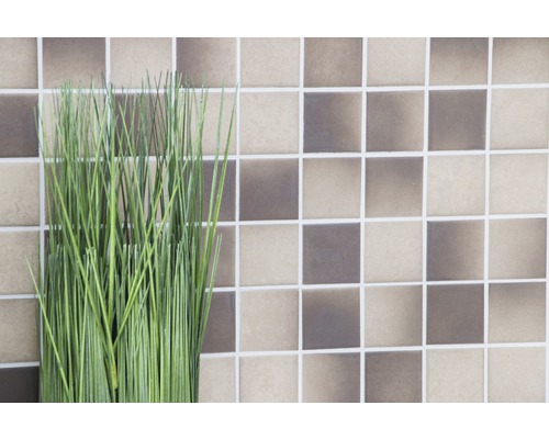 Graminées vertes décoratives devant un mur de carreaux de mosaïque en céramique