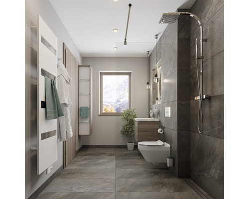 Salle de bains moderne avec douche, toilettes, lavabo et sèche-serviettes