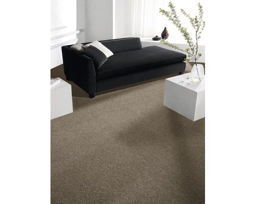 Wohnzimmer mit Teppichboden, Sofa und Tisch