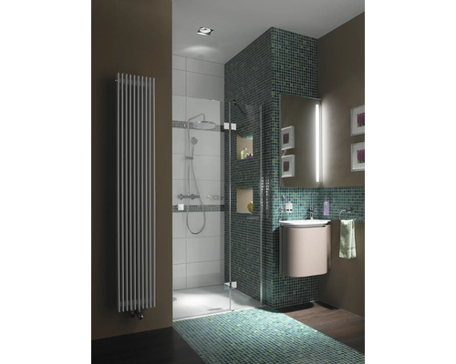 Salle de bain avec douche, lavabo et radiateur