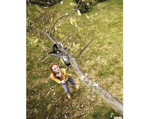 Frau benutzt eine Hochentaster Kettensäge zum Beschneiden eines Baumes im Garten.