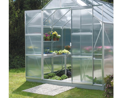 Serre avec étagères, table et plantes