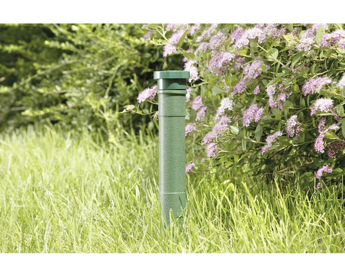 Station d''appât verte dans le jardin contre les campagnols terrestres