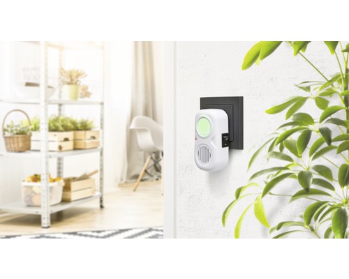 Anti-parasite mural dans un salon lumineux.