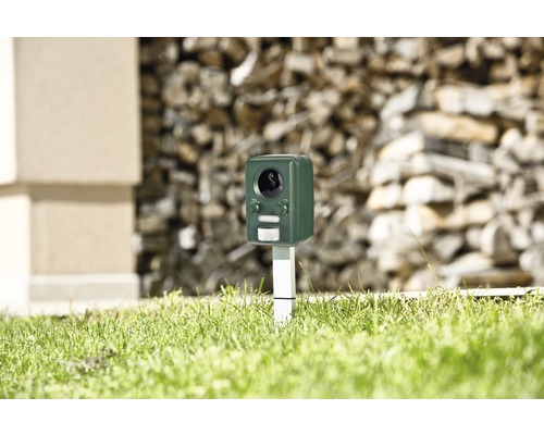 Dispositif de dissuasion des animaux dans le jardin pour effrayer les animaux