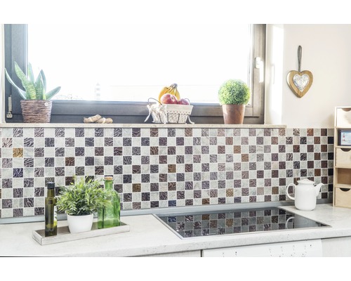 Scène de cuisine avec carrelage mosaïque, plantes et plaque de cuisson