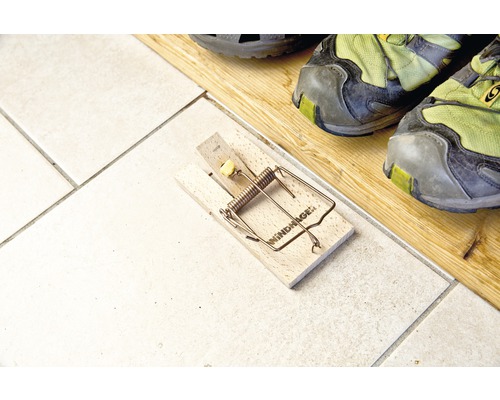 Piège à souris en bois avec mécanisme en métal et appât