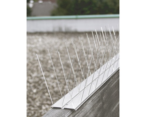 Pics anti-pigeons sur une surface