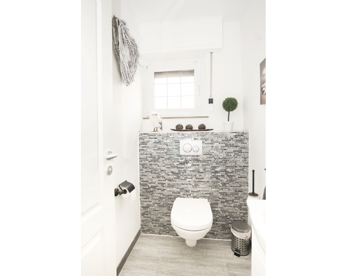 Toilettes d''invités modernes avec WC, mur en mosaïque et décoration