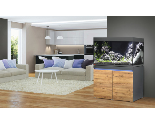 Combinaison d''aquarium avec meuble bas dans le salon