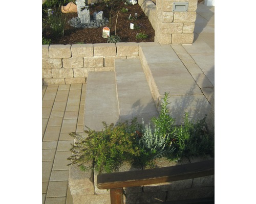 Idée d''aménagement pour un jardin avec des pavés, des marches et un mur.