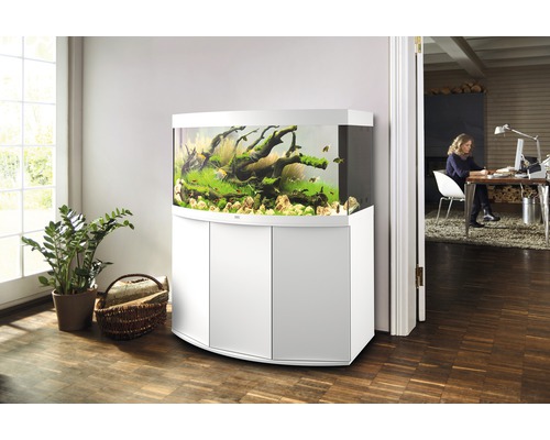 Eingerichtetes Aquarium mit Unterschrank im Wohnzimmer