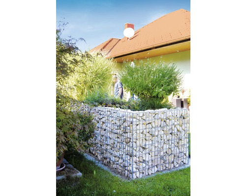Gabionenwand mit Pflanzen im Garten